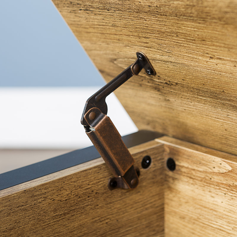 Red Barrel Studio® Ochlocknee Flip Top Storage Bench & Reviews Wayfair